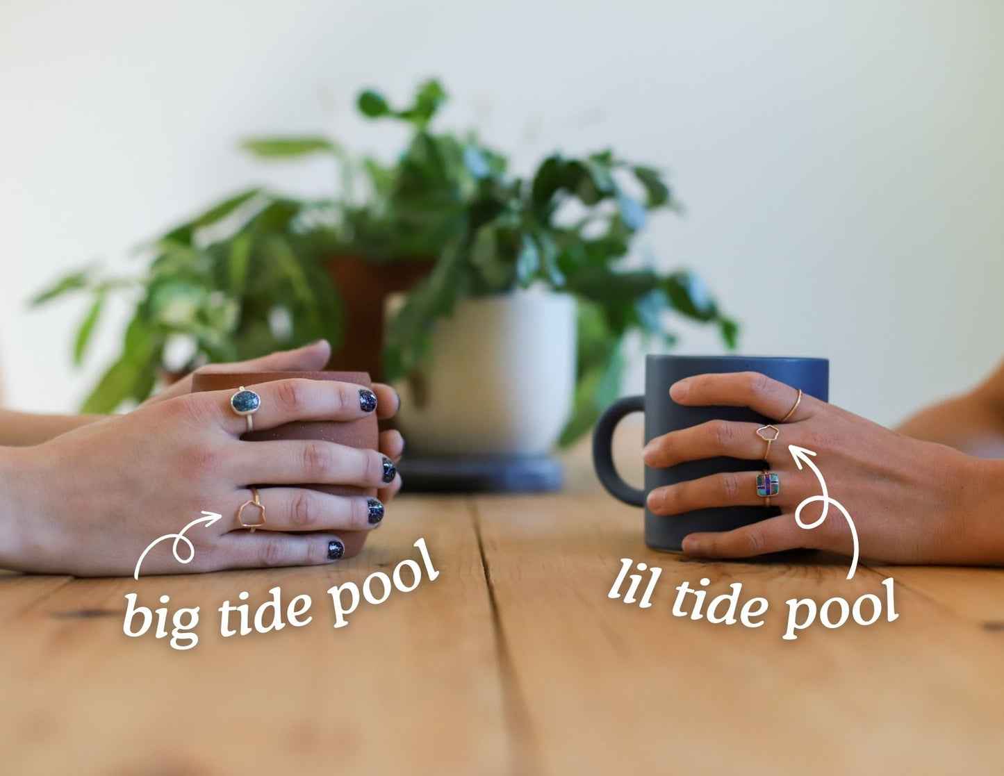 tide pool ring